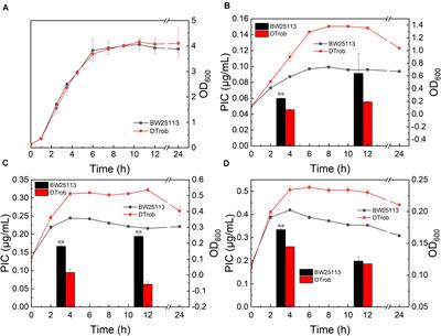 A Novel Butanol Tolerance-Promoting Function of the Transcription Factor Rob in Escherichia coli